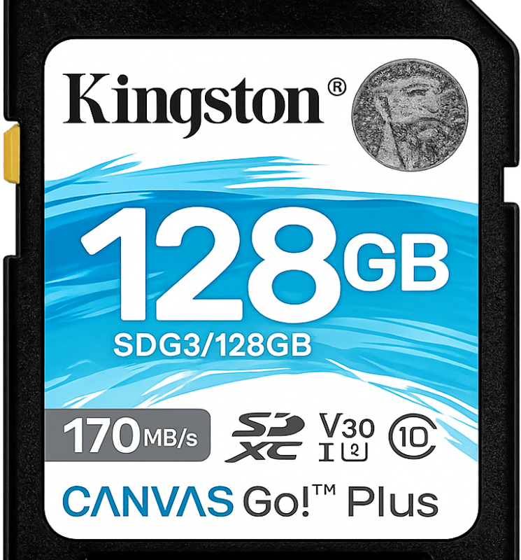 Kingstom-sd-128GB-snijholtshop.nl